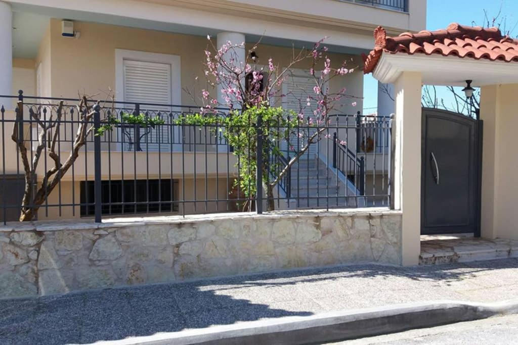 New, Bright, Cozy, Autonomous Apartment With Private Entrance And Garden, 42 M2, 5Min To The Beach And City Center Kalamata Exterior photo